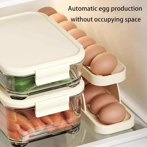 Egg Organizer – Automatic Scrolling Egg Rack